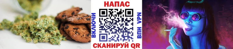Купить где  Красный Кут  Canna-Cookies конопля 