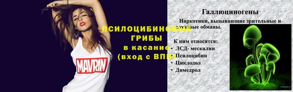 спайс Карталы