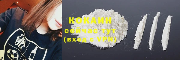 сатива Касимов