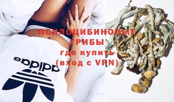 сатива Касимов