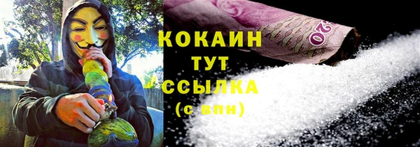сатива Касимов