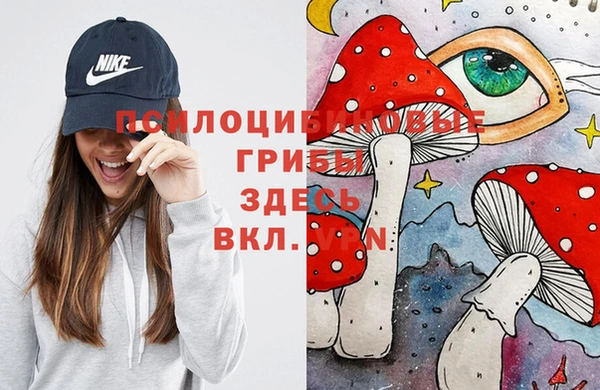 сатива Касимов
