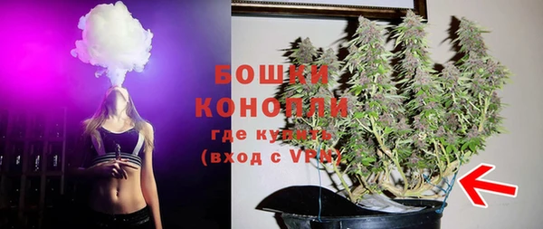 сатива Касимов