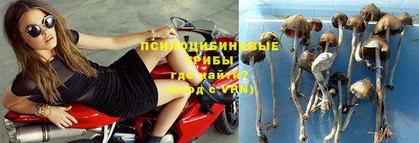 спайс Карталы