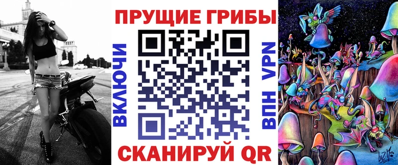Псилоцибиновые грибы Psilocybine cubensis Купить закладки Красный Кут